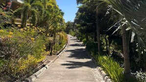 A pathway flanked by palm trees and a building with balconies. - Central place  (Malay)
