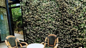 A set of wicker chairs and a table arranged on a tiled patio with a backdrop of dense flowering bushes. - Large Villa for 10 people in a sought-after area of Marseille (Marseille)