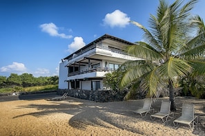 A two-story beachfront property with a balcony, a stone wall, and a palm tree.