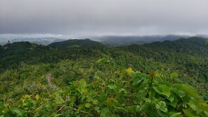 A lush green landscape with a winding road and a view of a distant cityscape through a misty sky. - Adorable 1-bedroom Pet-friendly Studio (Cayey, PR)