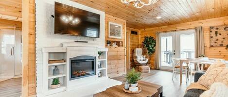 Télévision, cheminée, lecteur de DVD