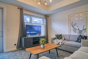 Televisión, chimenea, libros y oficina 