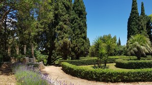 A public garden with a dirt path, lavender bushes, and various trees. - Javec patio 2 minutes from town center, 10 minutes from the sea and (Carovigno)