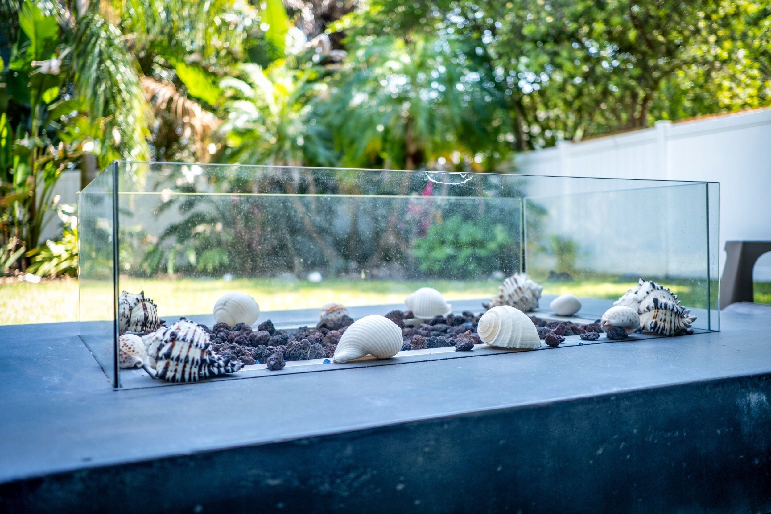 Een glazen aquarium met diverse schelpen en kiezels op een donkere ondergrond.