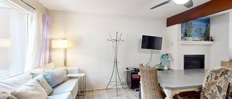 Televisión, chimenea, reproductor de DVD, libros