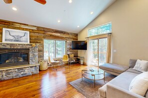 TV, fireplace, video-game console, DVD player