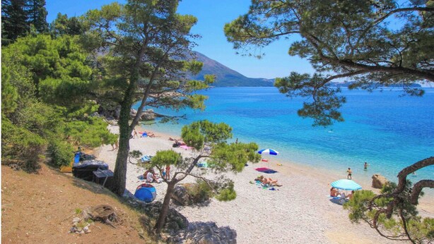 Een strand met helderblauw water, bomen en mensen die ontspannen.