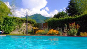 A swimming pool with clear blue water, surrounded by lush greenery and a mountain in the background. - Gite in the mountains (Seix)