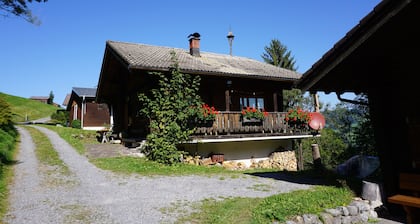 In the middle of the Bödele skiing and hiking area
