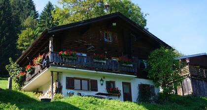 In the middle of the Bödele skiing and hiking area