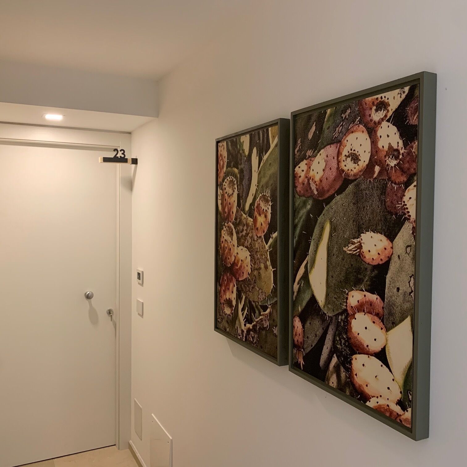 A hallway with a white door and two framed artworks depicting cactus flowers.