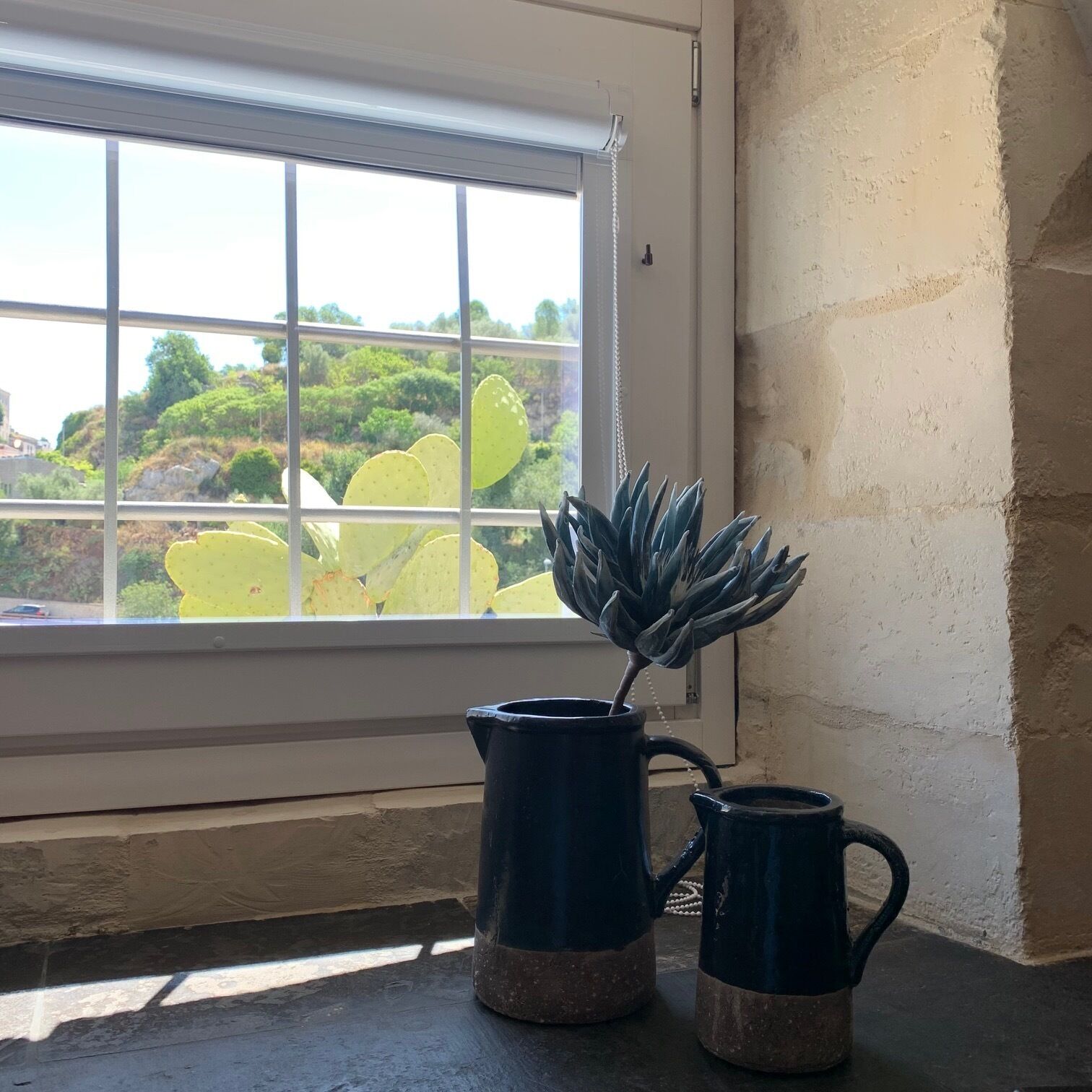 A window with a view of green hills and a cactus plant in a blue pot.