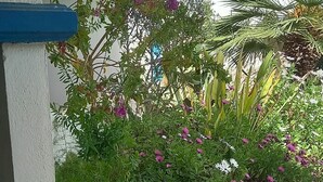 A curved white wall with a blue trim, a stone-tiled floor, and a variety of plants including purple flowers and a palm tree. - Quiet sea view on the hill of Peñiscola (Peniscola)