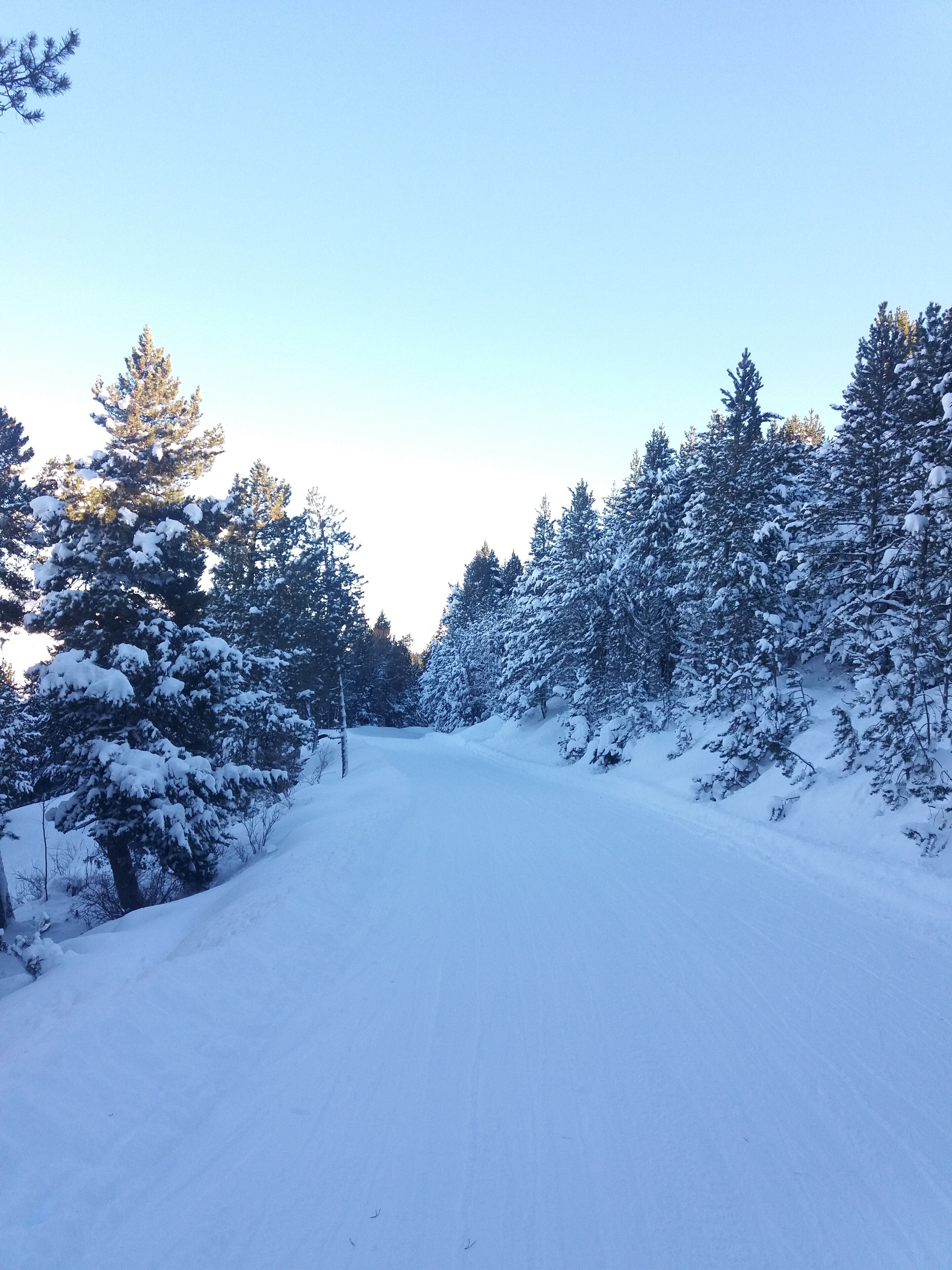 Sports d’hiver