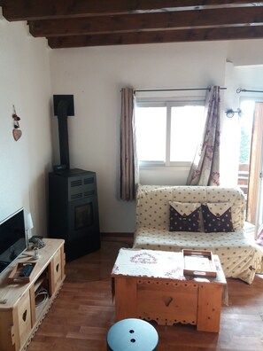 TV - At the foot of the ski slopes comfortable apartment with terrace and stove  (Eyne)