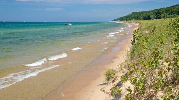 A beach with clear water, a boat, and a forested area in the background.