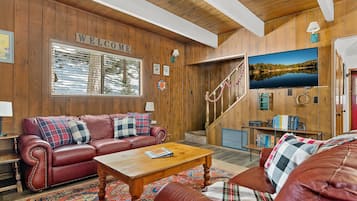 Smart TV, chimenea, reproductor de DVD y libros