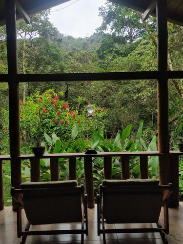 Cloud Forest rustic & cozy cabin