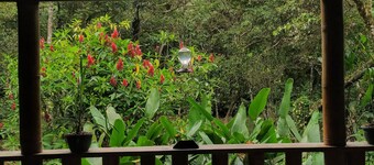 Cloud Forest rustic & cozy cabin