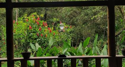 Cloud Forest rustic & cozy cabin