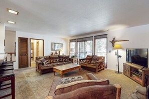 电视、壁炉、DVD 播放器