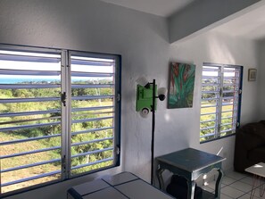Interior - Ocean View two Bedroom Apartment, Authentic Island Living (Vieques)