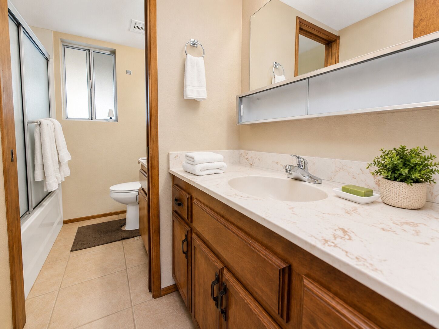 Une salle de bain avec un lavabo, un miroir et une plante en pot.