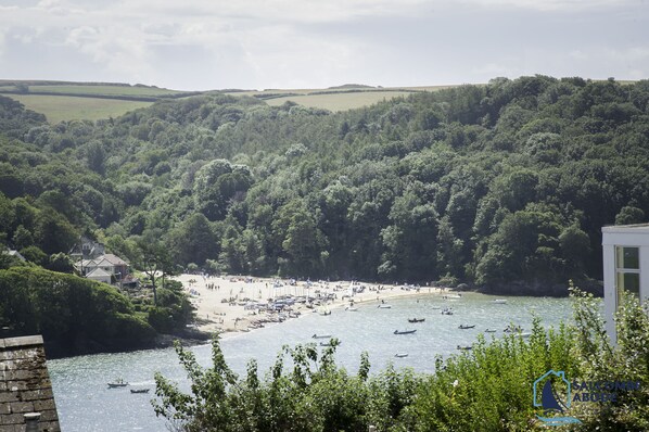 A coastal landscape with a beach, boats, and a forested hill.