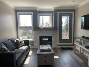 TV connectée, cheminée, jeux vidéo, lecteur de DVD