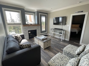 Ein modernes Wohnzimmer mit Kamin, Fernseher und einer Couch.