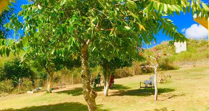 Studio #2 with A/C & 2 queen beds