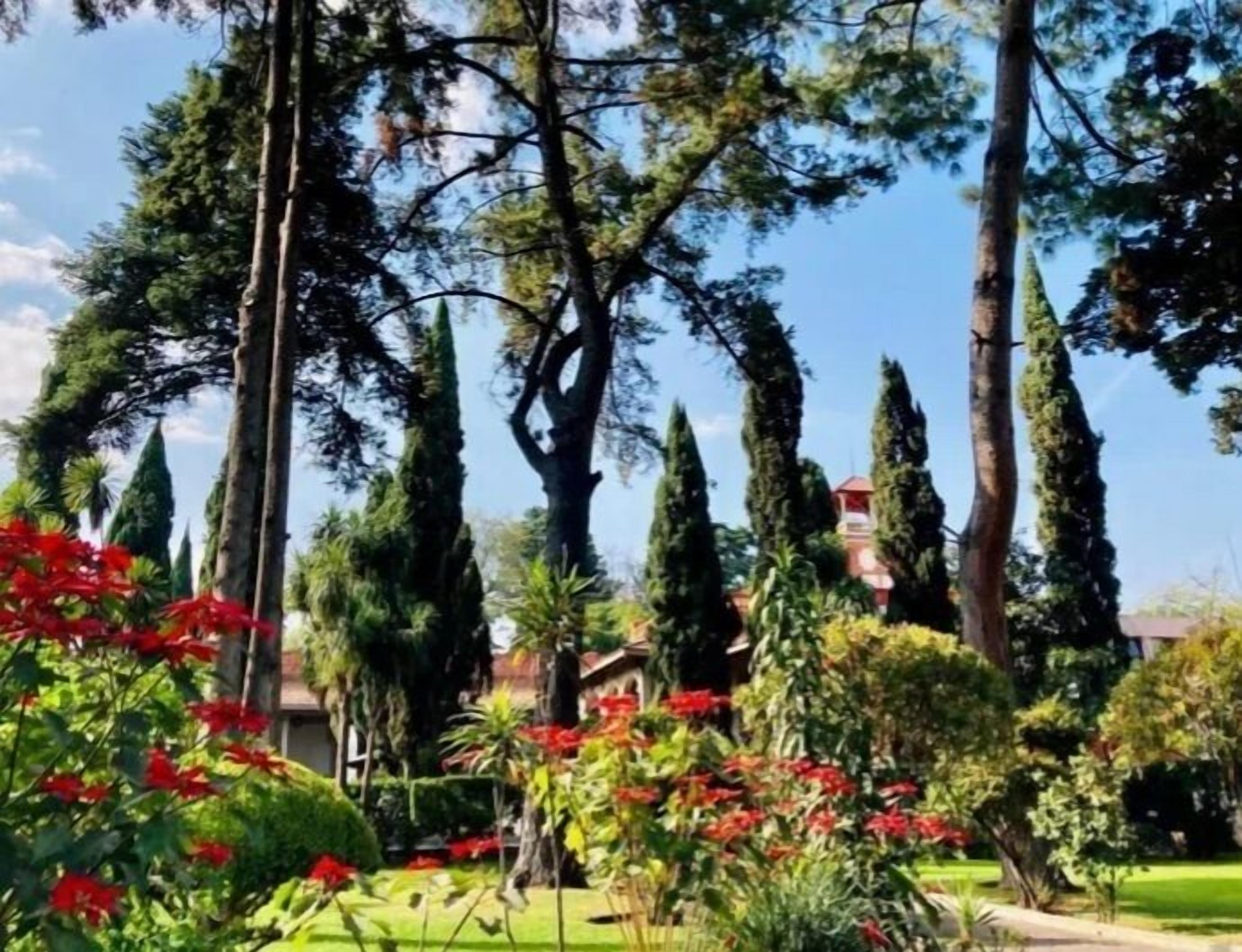 Foto - Utopía Hotel Boutique