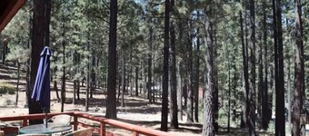 Markleeville Cabin