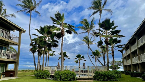 A hotel courtyard with palm trees, a pool, and a view of the ocean. - A Gorgeous Oceanfront Condo! (2BR) (Kapaʻa)