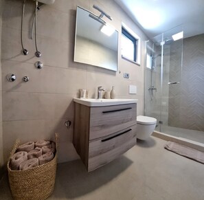Shower, hair dryer, towels