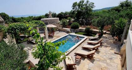 Villa Žurnata - Three Bedroom Villa with pool