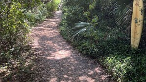 Un sentiero stretto, coperto di foglie, in una zona boschiva con fitta vegetazione ai lati.