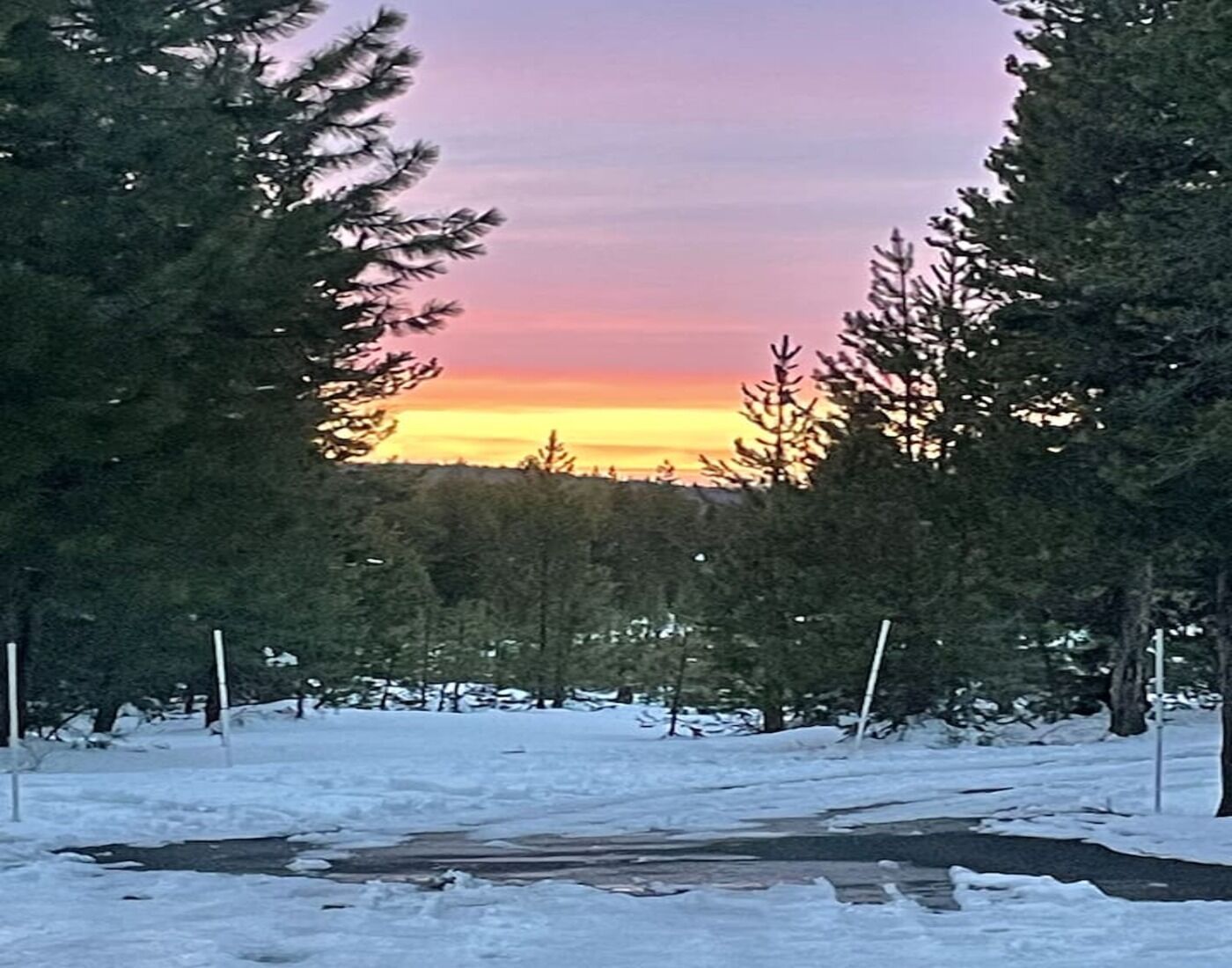 Paisatge nevós amb un tramunt i arbres, sota un cel serè.