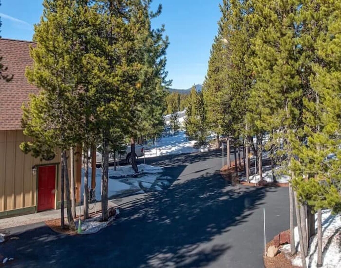 A snow-covered street lined with tall pine trees and a building with a red door.