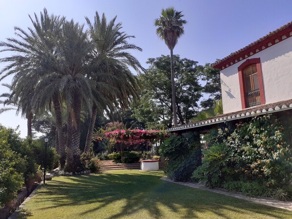 Property grounds - Anacasa Oliva Partida Canyaes CH752 (Oliva)