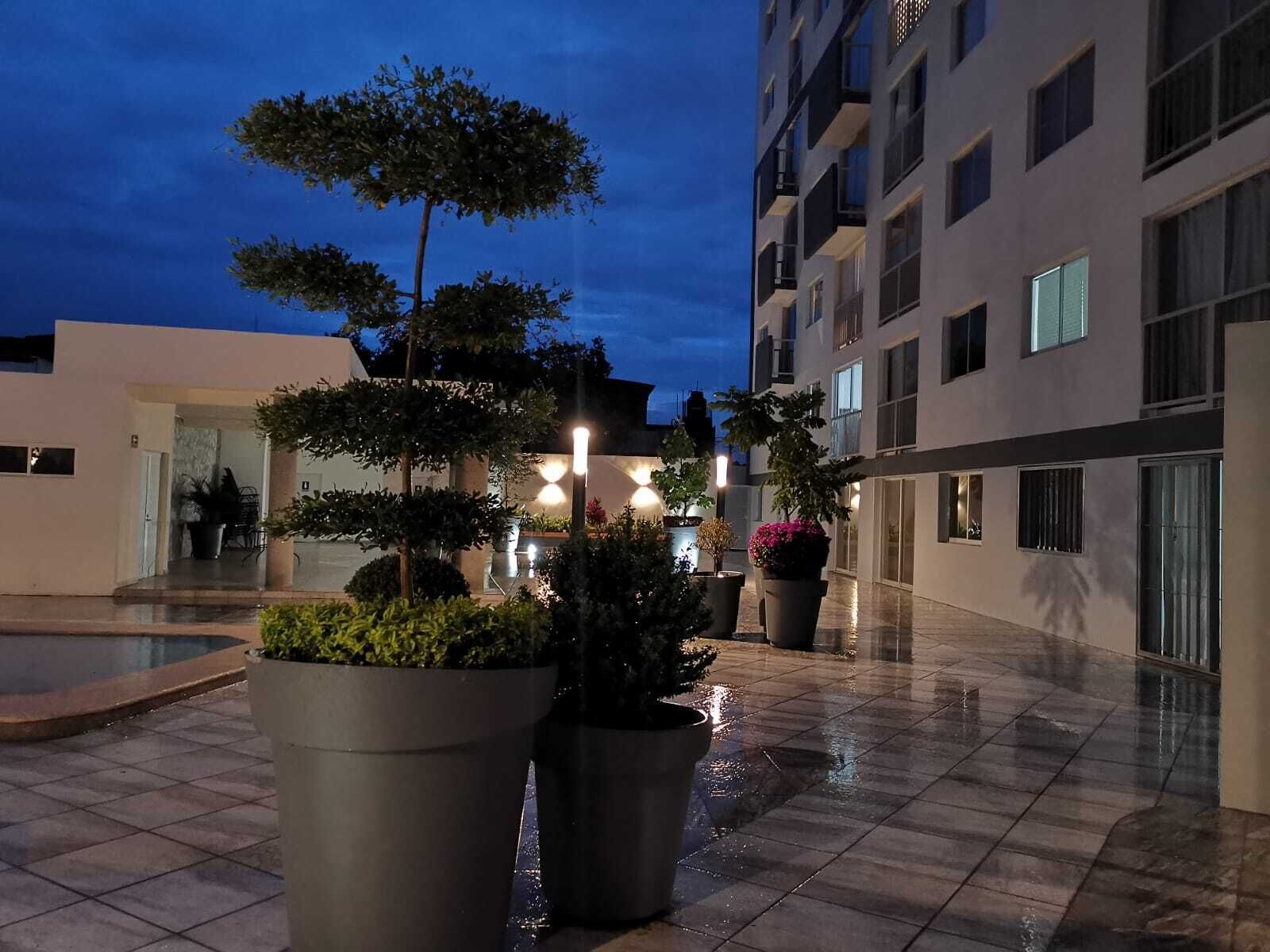 Un patio con plantas en macetas, una piscina y un edificio de varios pisos con balcones.