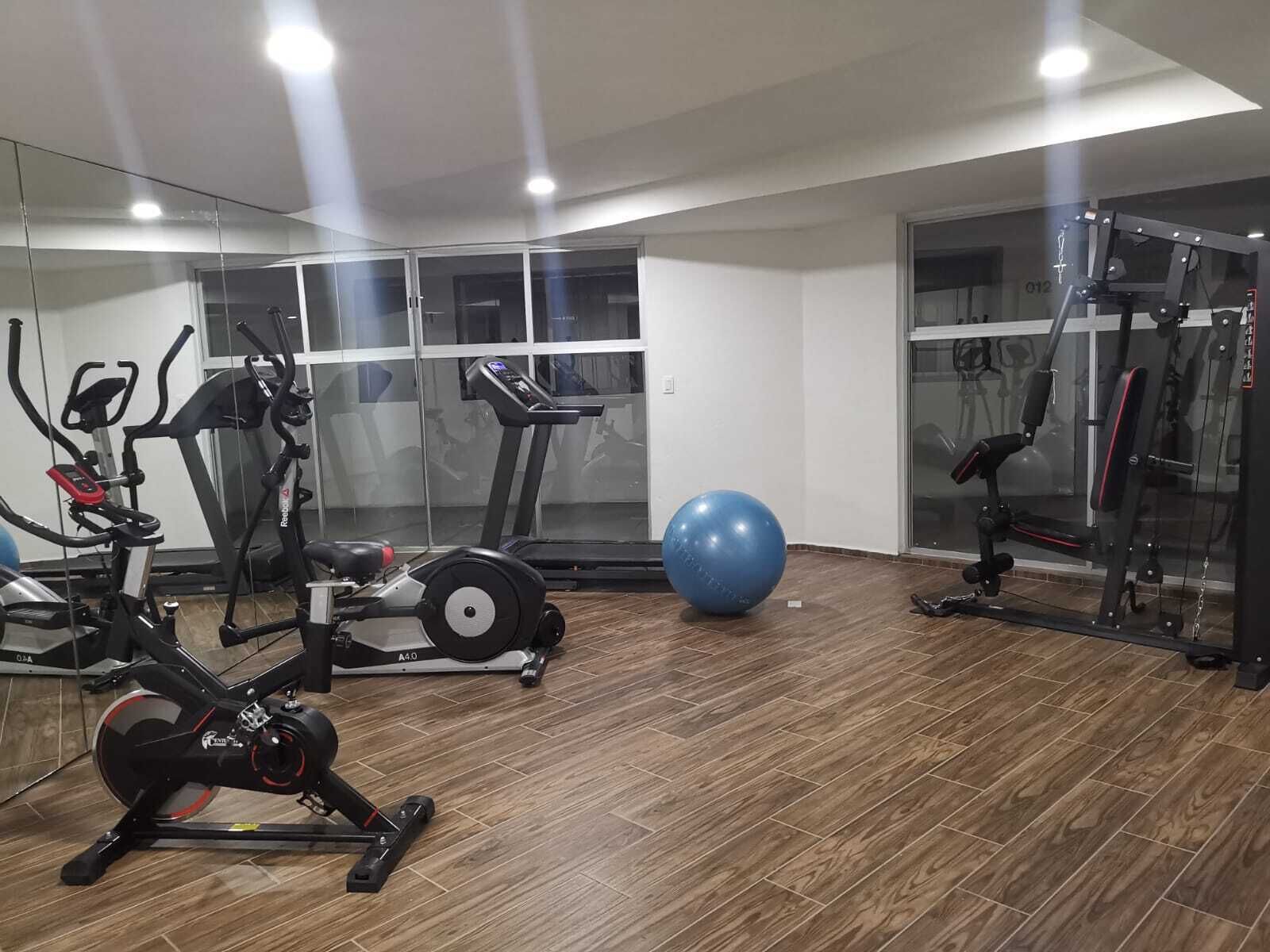 Un gimnasio moderno con máquinas de cardio, una pelota de ejercicio grande y equipo de levantamiento de pesas.