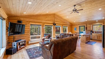 Cabin | Living area | 42-inch plasma TV with satellite channels, TV, fireplace
