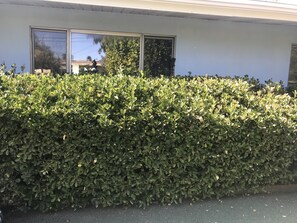 Exterior detail - Colorful Warm Weather Jewel House 10,000 sq ft lot. (Menifee)