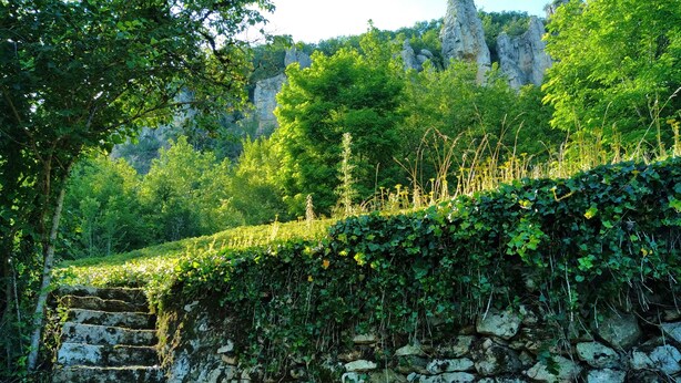 A stone staircase leading up a lush, green hillside with a rocky cliff in the background. - Quercy house at the foot of the cliffs (Vayrac)