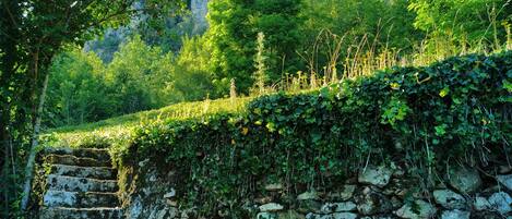 Terrain de lâhĂ©bergement