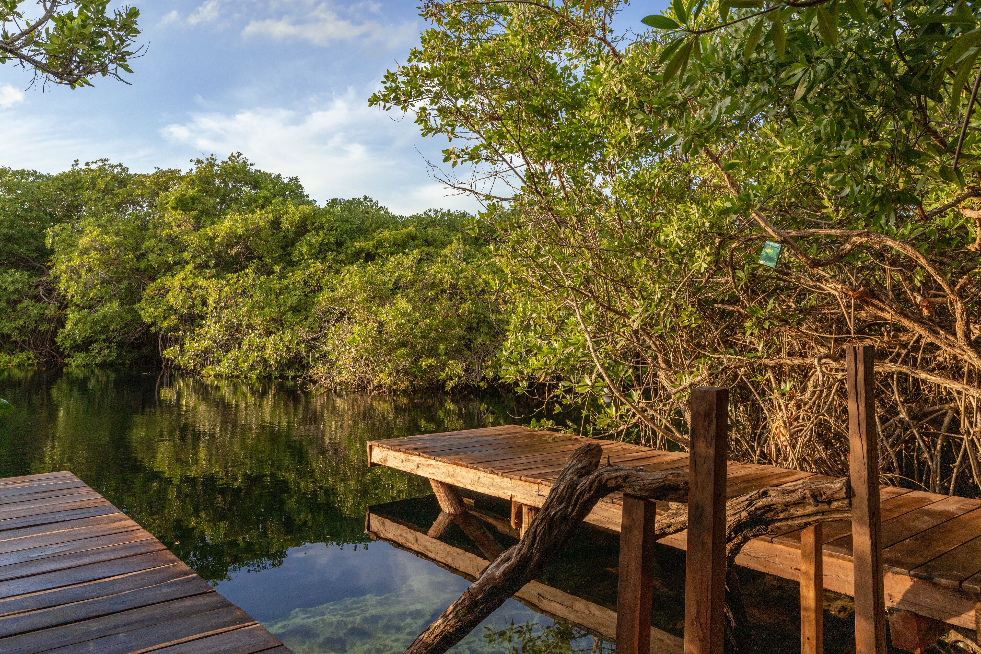 Foto - Yaxchen Tulum Cabañas & Cenote