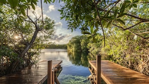 A wooden dock extending over a calm body of water, surrounded by dense foliage and trees. - Yaxchen Tulum Cabañas & Cenote (Tulum)