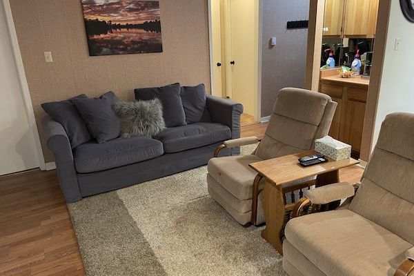 Living room sofa bed couch