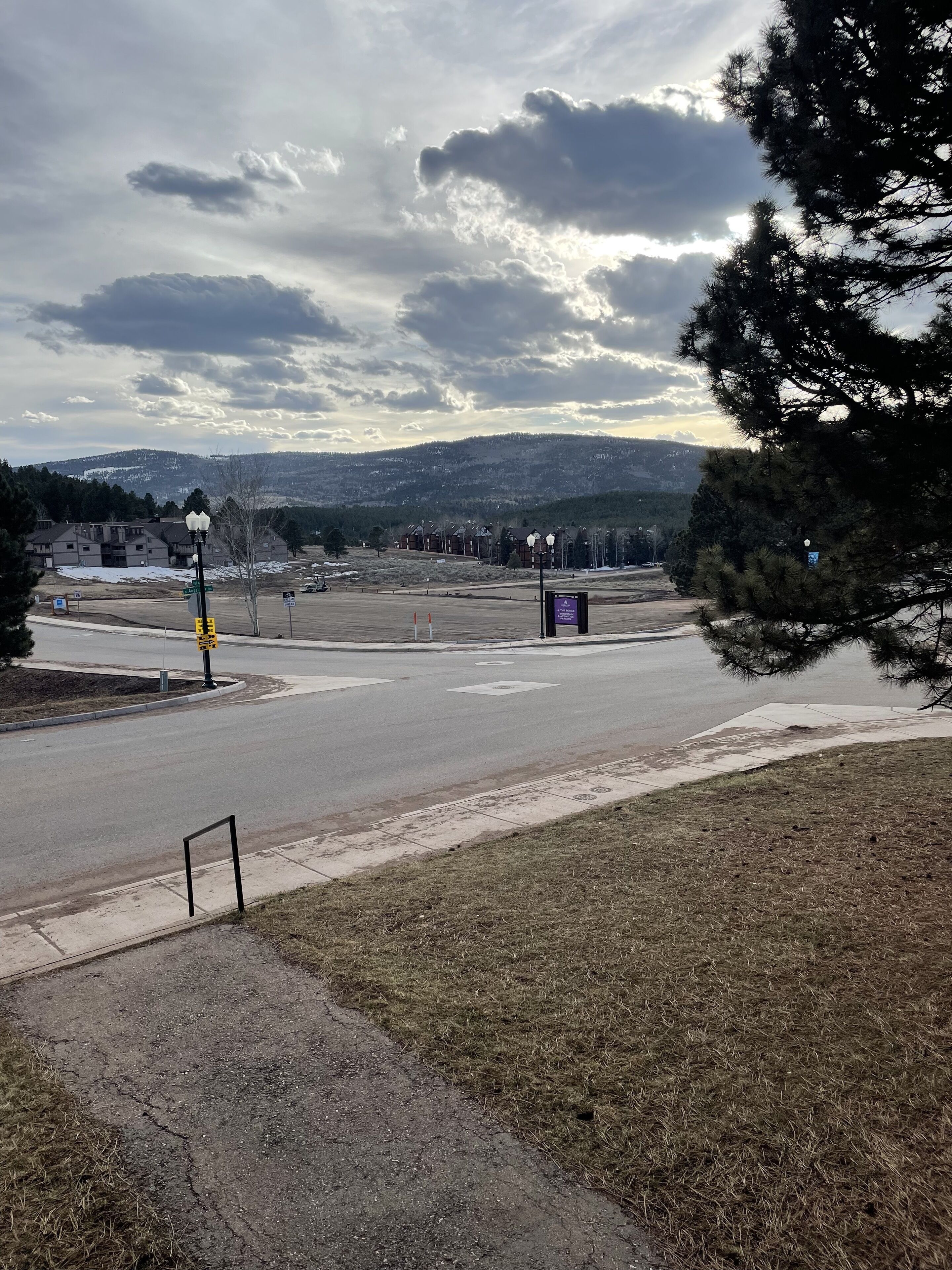 A road with a traffic light and a pedestrian crossing. There are buildings in the background and a grassy area in the foreground.
